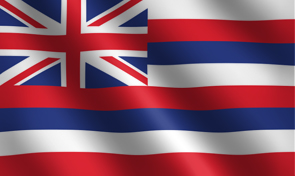 Hawaii State Flag Graphic