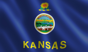 Kansas State Flag Graphic