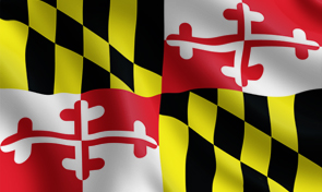 Maryland State Flag Graphic
