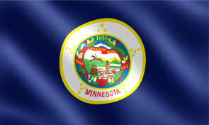 Minnesota State Flag Graphic