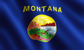 Montana State Flag Graphic