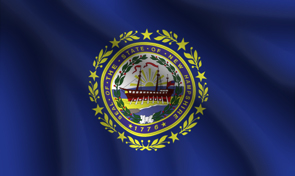 New Hampshire State Flag Graphic