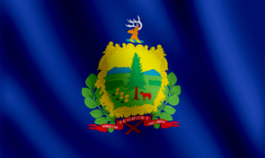 Vermont State Flag Detail