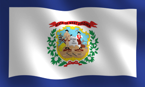 West Virginia State Flag Detail
