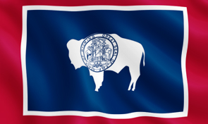 Idaho State Flag Detail