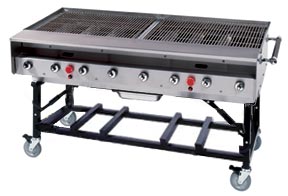 Model PG-SNGX | Stainless Steel Natural Gas Unit