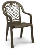 Model US413137 | Savannah Resin Chairs with Metal Style Finish (Bronze Mist)
