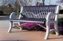 Thermoplastic Coated Bench