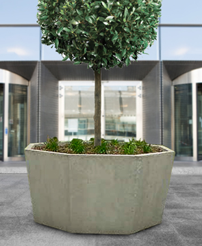 Large Concrete Planter