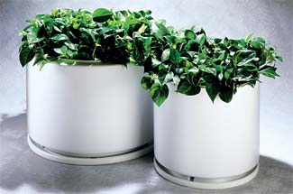 Plastic Flower Planters