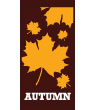 Autumn Street Banner