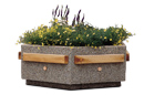 Concrete Hexagon Planters with Wood Trim