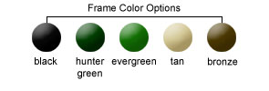 Frame Color Options