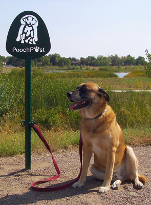 Pooch Post Dog Hitch System with In-ground Mount