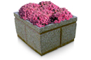SP Series Square Concrete Planter