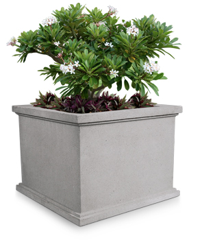 Square Concrete Flower Pot