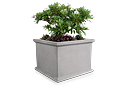 Concrete Flower Pots | Square and Rectangular