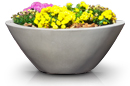 Concrete Planter
