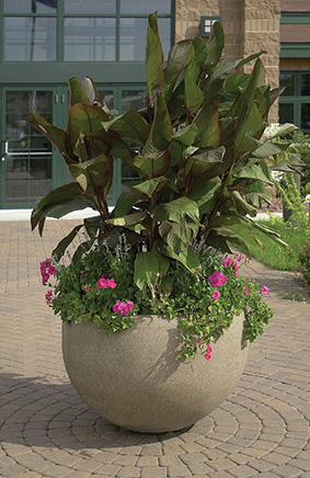 Model TF4352 | 36" Precast Concrete Planters