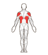 Front and Back Target Muscles