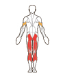 Front and Back Target Muscles