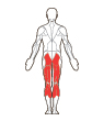 Back Target Muscles