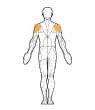 Front and Back Target Muscles