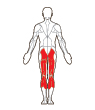 Back Target Muscles