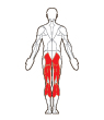 Front and Back Target Muscles