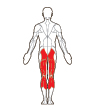 Back Target Muscles