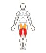 Back Target Muscles