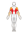 Front and Back Target Muscles