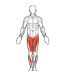 Front Target Muscles