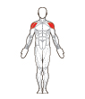 Front Target Muscles