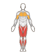 Front and Back Target Muscles