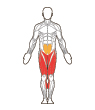 Front and Back Target Muscles