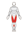 Front Target Muscles