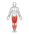 Front and Back Target Muscles
