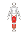 Front Target Muscles