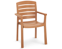 Arcadia Resin Chair with Wood Finish