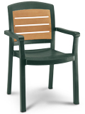 Aquaba Resin Chair with Wood Finish