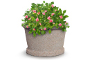 Large Planter | Wellington Series