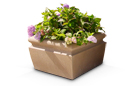 Wheatland Series Square Concrete Planter