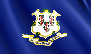 Connecticut State Flag Graphic