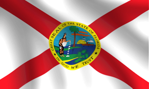 Florida State Flag Graphic