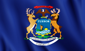 Michigan State Flag Graphic