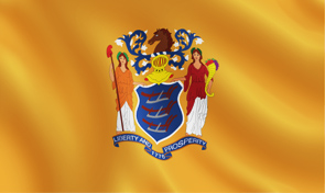 New Jersey State Flag Graphic