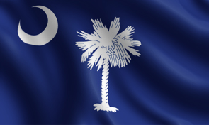 South Carolina State Flag Graphic
