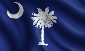 Trade Winds 2.5x4 Ft South Carolina State Flag – Embroidered Nylon, Double-Sided With Grommets