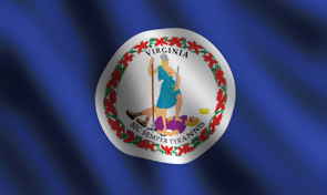 Virginia State Flag Detail